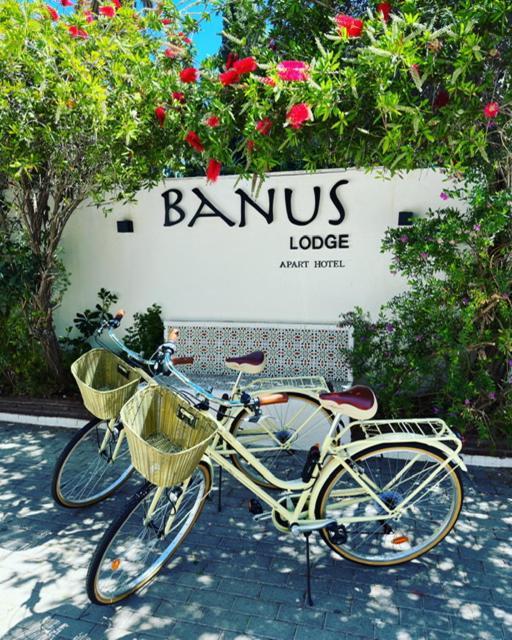 Banus Lodge Marbella Exteriör bild
