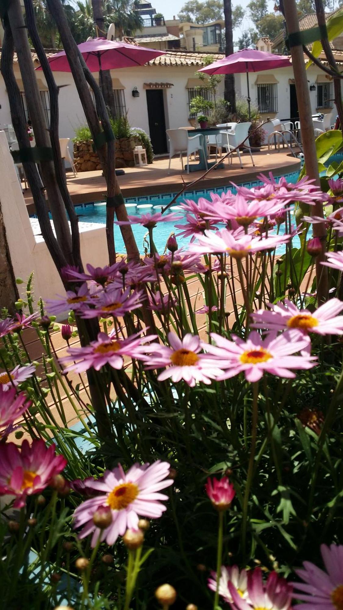 Banus Lodge Marbella Exteriör bild