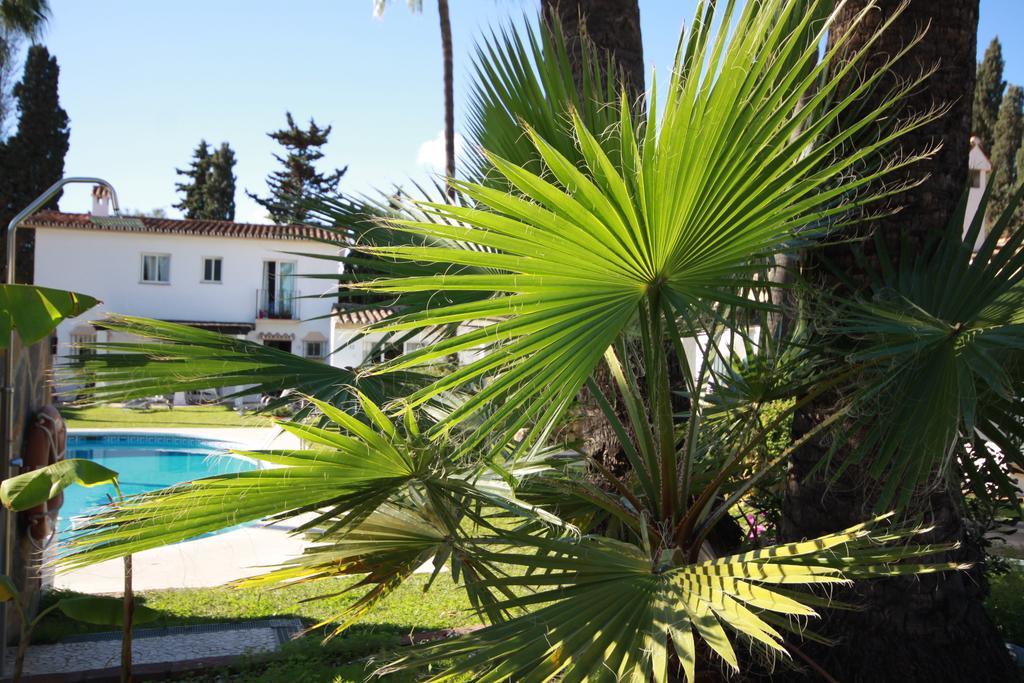 Banus Lodge Marbella Exteriör bild