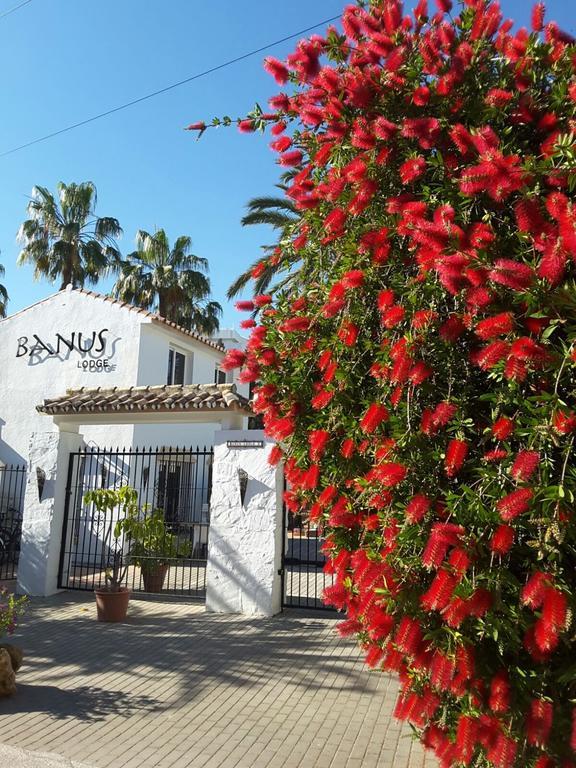 Banus Lodge Marbella Exteriör bild