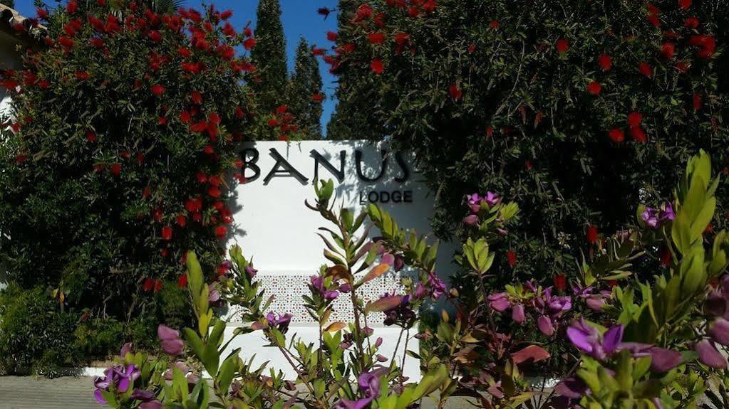 Banus Lodge Marbella Exteriör bild