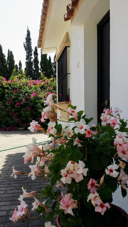 Banus Lodge Marbella Exteriör bild